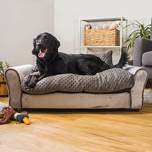 Black dog sitting on a grey pet sofa in a living room.