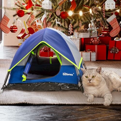 Blue Cat Tent