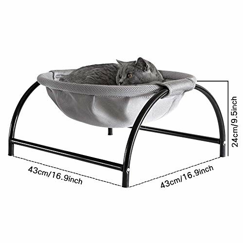 Gray cat lying in a raised fabric hammock bed with metal frame.