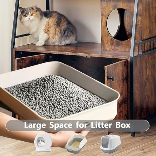 Cat on wooden furniture with litter box and accessories.