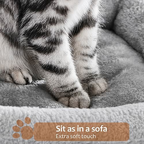 Cat sitting on a soft gray sofa with text about extra soft touch.