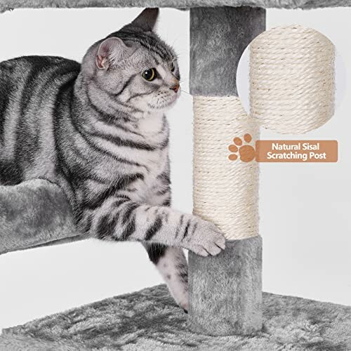 Cat using a sisal scratching post on a cat tree