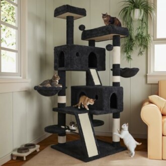 Cats playing on a multi-level cat tree indoors