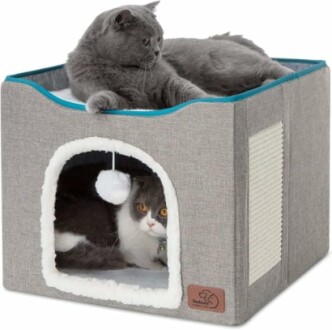 Two cats in a gray cat cube, one inside and one on top.