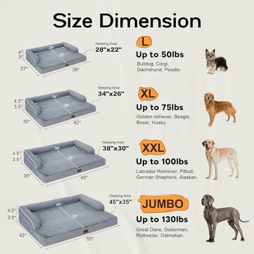 Dog bed size chart with dimensions and suitable dog breeds.