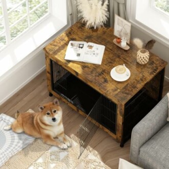 Dog lying beside a wooden crate table with coffee and magazines on top.