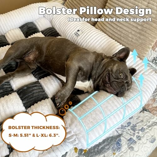 Dog lying on a bolster pillow with head and neck support.