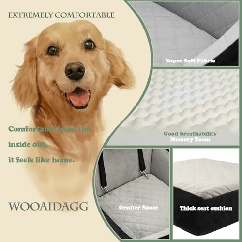 Golden retriever with memory foam bed features.