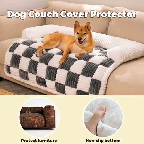 Dog laying on a checkered couch cover protector with features highlighted.