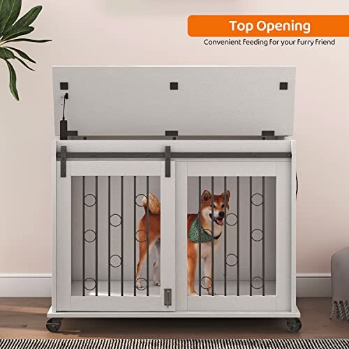 Dog in a stylish indoor crate with top opening.