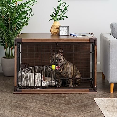 French Bulldog in a wooden dog crate with a bed and toy.