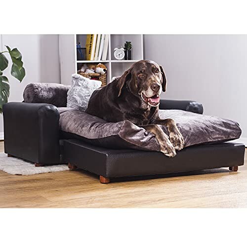 Large dog lounging on a pet sofa in a living room.