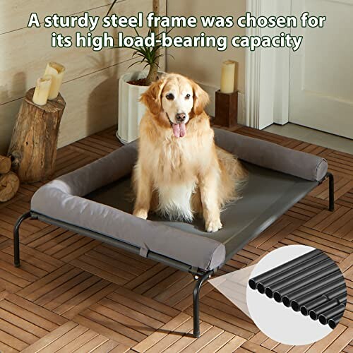 Golden retriever on a sturdy steel frame pet bed.