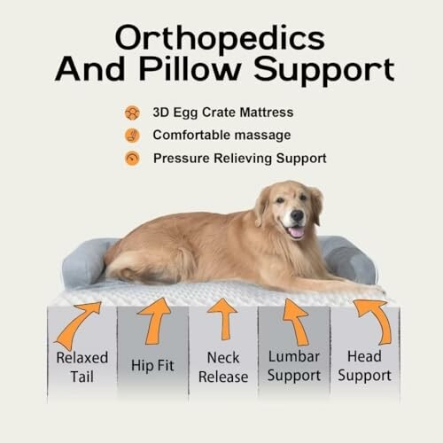 Dog lying on orthopedic bed with support features highlighted.