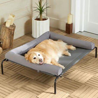 Golden retriever lying on a raised dog bed in a room.