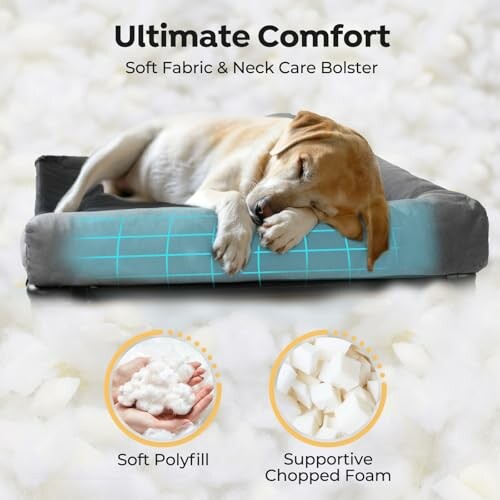 Dog sleeping on a comfortable pet bed with soft fabric and neck care bolster.