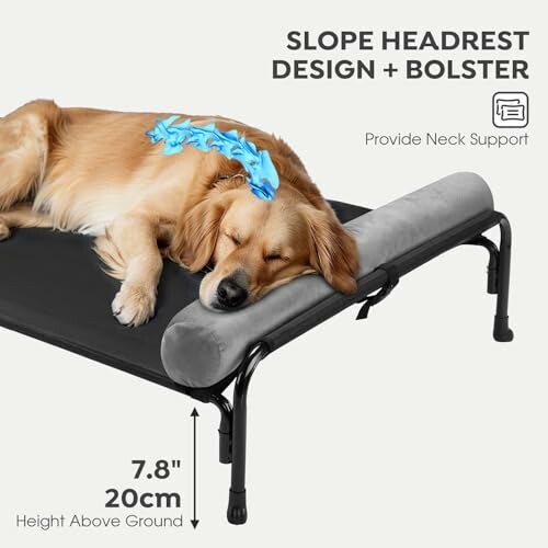 Dog sleeping on elevated bed with headrest and bolster for neck support.