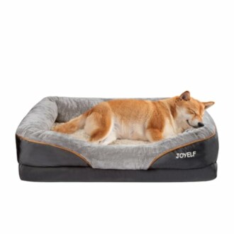 Dog sleeping on a gray and black pet bed.