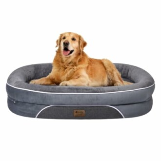 Golden Retriever lying on a gray dog bed