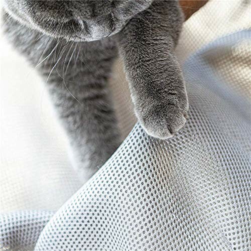 Gray cat paw resting on white textured fabric