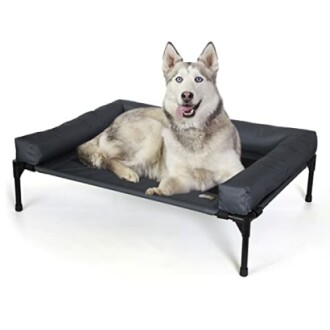 Husky lying on elevated dog bed