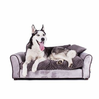 Keet Westerhill Pet Sofa Bed