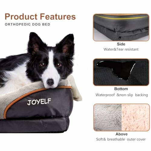 Dog resting on orthopedic bed with water-resistant and non-slip features.