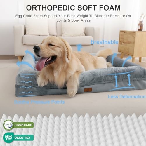 Golden retriever on orthopedic soft foam dog bed with labels for features.