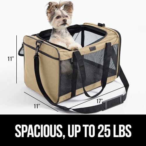 Small dog in a spacious mesh pet carrier with dimensions labeled.