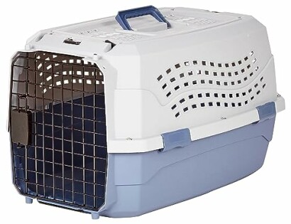 Plastic pet carrier with metal door