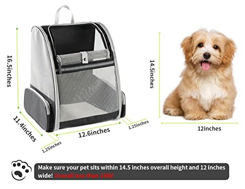 Pet carrier dimensions compared to a small dog.