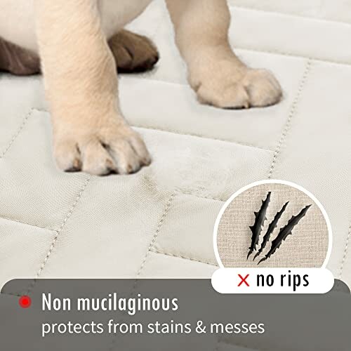 Dog paws on a quilted surface with text indicating it protects from stains and no rips.