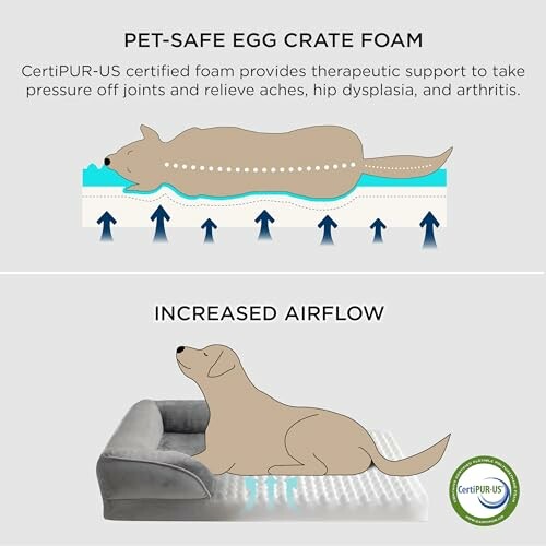 Illustration of pet-safe egg crate foam benefits for dogs.