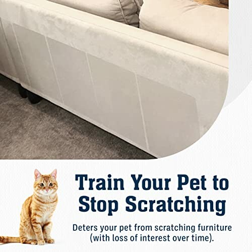 Couch with pet scratch protection and a cat.