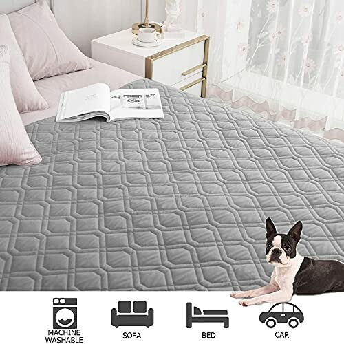 Gray quilted bed cover with a dog and open book, next to a bed and nightstand.