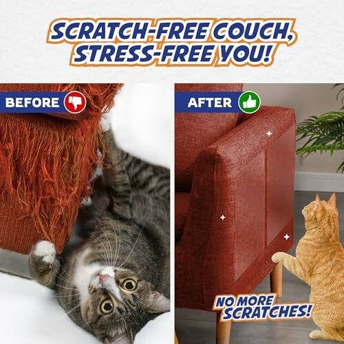 Comparison of a cat scratching a couch before and an undamaged couch after using a protective cover.