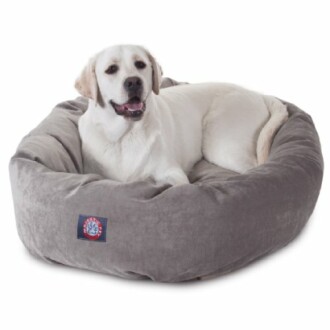 White dog resting in a gray pet bed.